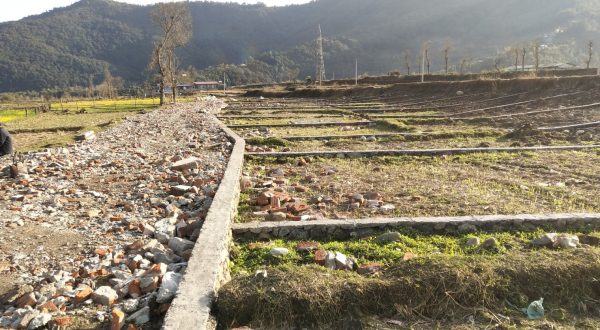 विरुवा फाँटमा हालै भएको प्लटिङ